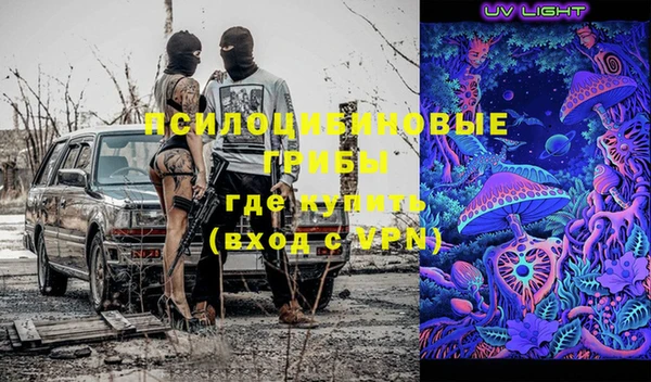 apvp Верея