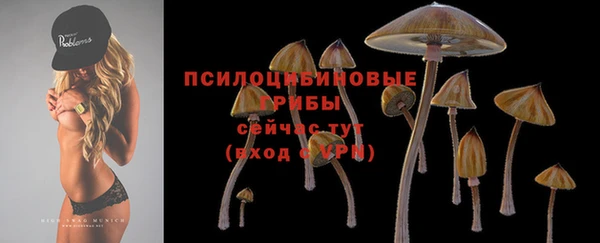каннабис Бородино