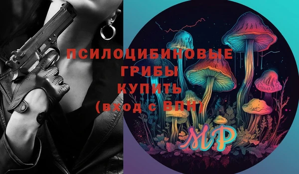 ГАЛЛЮЦИНОГЕННЫЕ ГРИБЫ Бугульма