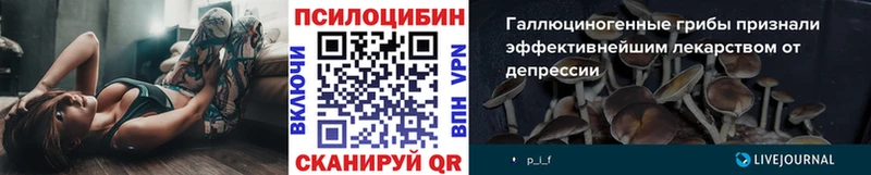 Псилоцибиновые грибы MAGIC MUSHROOMS  Полтавская 